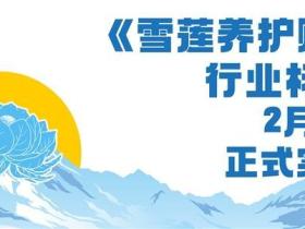 央媒聚焦【雪莲养护贴行业标准2月1日起正式实施】